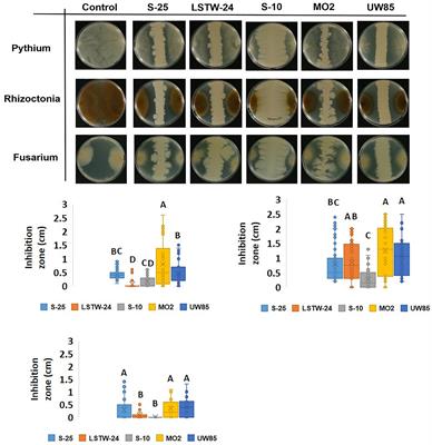 Comparative genomics of Bacillus cereus sensu lato spp. biocontrol strains in correlation to in-vitro phenotypes and plant pathogen antagonistic capacity